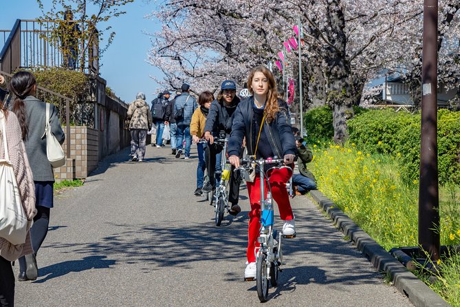 2.5 Hour-Guided Cycle Tour in the Central Tokyo - Meet-up points: Hikifune Station and the Synapse office location