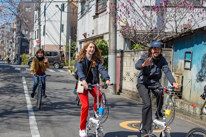 2.5 Hour-Guided Cycle Tour in the Central Tokyo - Suida River cycling and Honryuin Matsuchiyama Shoden