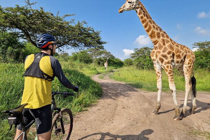 2 Days Cycling Safari To Lake Mburo National Park - Why Lake Mburo cycling is different from a regular safari