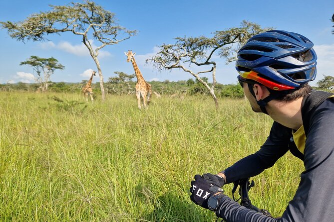 2 Days Cycling Safari To Lake Mburo National Park - Wildlife you’re likely to see (and how to spot it from your bike)
