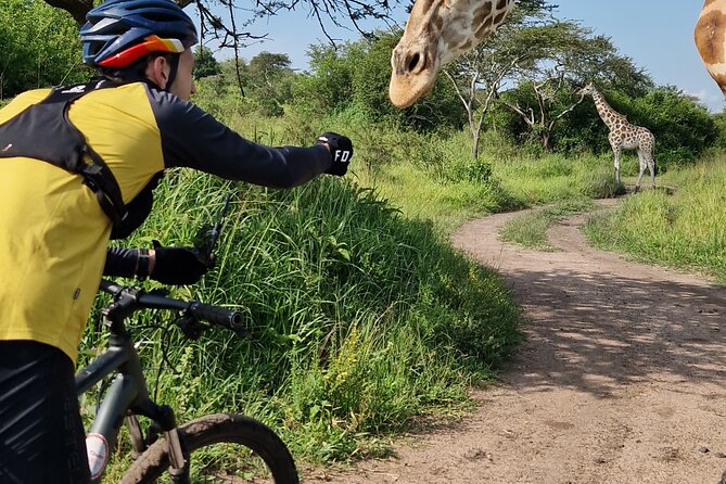 2 Days Cycling Safari To Lake Mburo National Park - Evening safari idea: what’s included and what to not assume