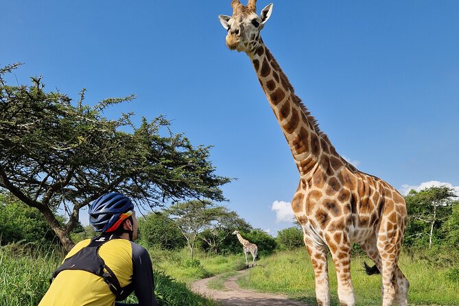 2 Days Cycling Safari To Lake Mburo National Park - Price and value: is $575 fair for two days?