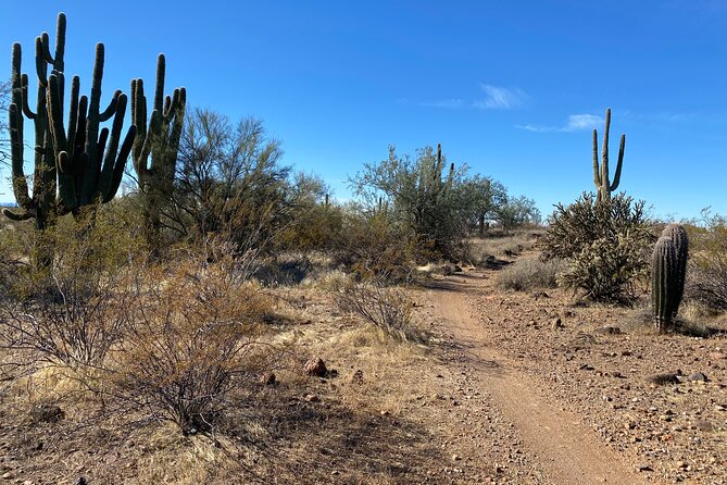 2 Hour Sonoran Desert Private Guided Mountain Bike Tour - Weather Matters in the Desert