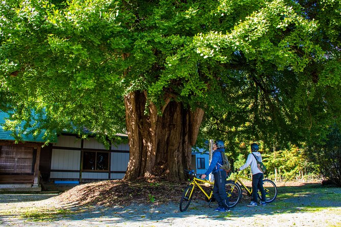 3 Hour Cycling Tour in Kakunodate - Pacing, stops, and staying comfortable for a 3-hour day