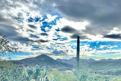3 Hour Sonoran Desert Private Guided Mountain Bike Tour - The Sonoran Desert Ride: Route Options That Match Your Real Skill Level