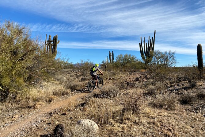 3 Hour Sonoran Desert Private Guided Mountain Bike Tour - Price and Value: Is $135 for 3 Hours Worth It?