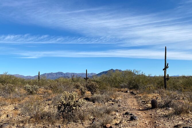 3 Hour Sonoran Desert Private Guided Mountain Bike Tour - Weather, Timing, and Practical Reality in Scottsdale