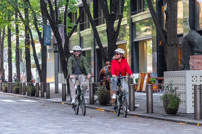 3-Hour Tokyo Private E-Bike Tour Starting from Your Hotel - Quick Takeaways
