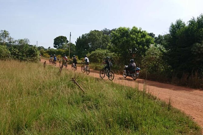 3 Hours Guided Cycling Tour Across Lake Victoria - Price and value: is $60 fair for a guided lake + bike day?