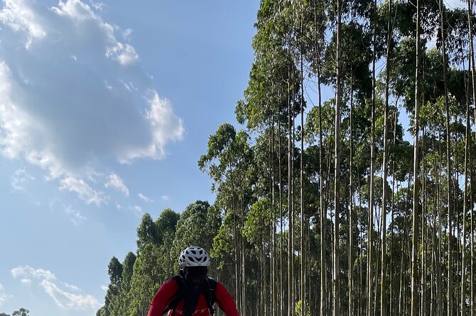 3 Hours Guided Cycling Tour Across Lake Victoria - Who this tour suits best (and who may want another option)