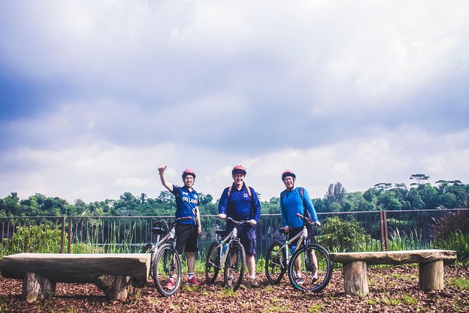 4 Hours Cycling in the Nature at Pulau Ubin Singapore - Getting There and Where Your Tour Starts: Don’t Lose Time to the Ferry