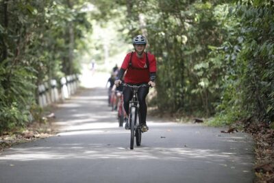 4 Hours Cycling in the Nature at Pulau Ubin Singapore - The Bike + Helmet Setup: What You Should Expect in Orientation