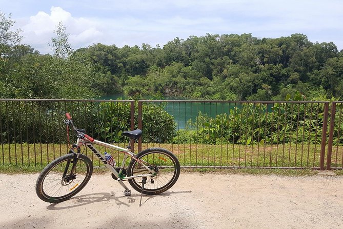 4 Hours Cycling in the Nature at Pulau Ubin Singapore - Pace, Effort, and Heat: What “Easy to Moderate” Means in Singapore