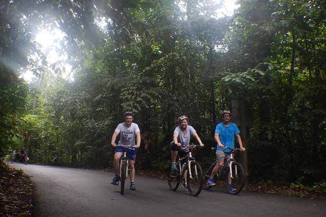 4 Hours Cycling in the Nature at Pulau Ubin Singapore - Wildlife Sightings: How to Maximize Chances Without Getting Stuck on Expectation