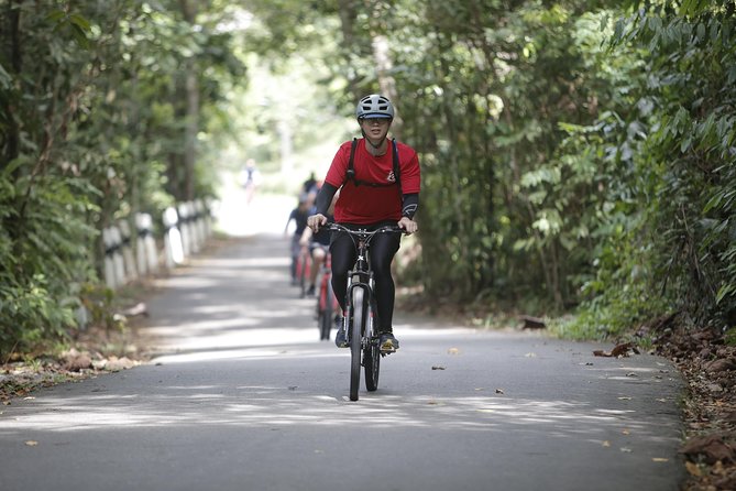 4 Hours Cycling in the Nature at Pulau Ubin Singapore - The Bike + Helmet Setup: What You Should Expect in Orientation