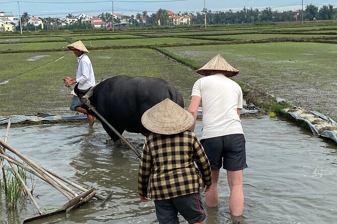 5-Hour Discovery Countryside by Cycling, Buffalo and Basket Boat - Water Buffalo Time: Riding and Feeding Without the Fear Factor
