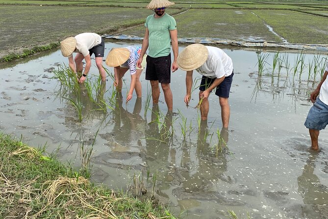 5-Hour Discovery Countryside by Cycling, Buffalo and Basket Boat - Fishing Practice: Catching Fish and Purple Crabs