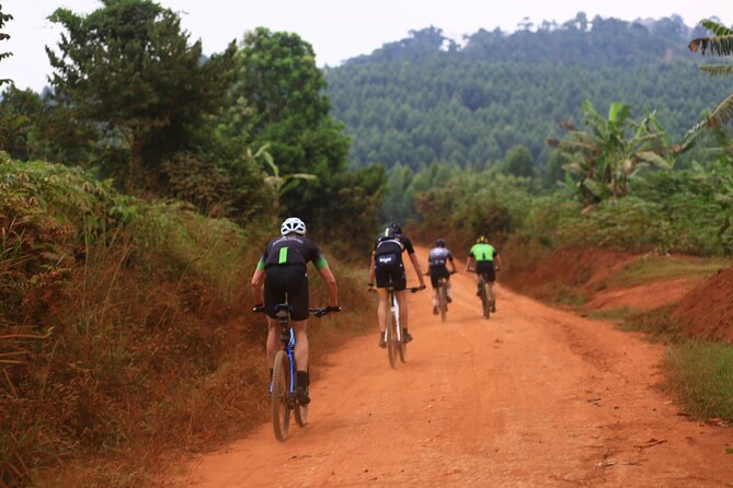 7 Hours Guided Cycling Tour to Sezibwa Waterfalls - Key points before you go