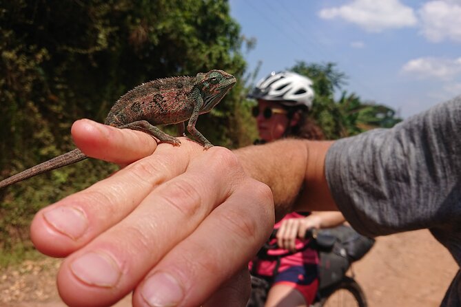 7 Hours Guided Cycling Tour to Sezibwa Waterfalls - From Beach House Gardens to Lake Victoria: the morning setup