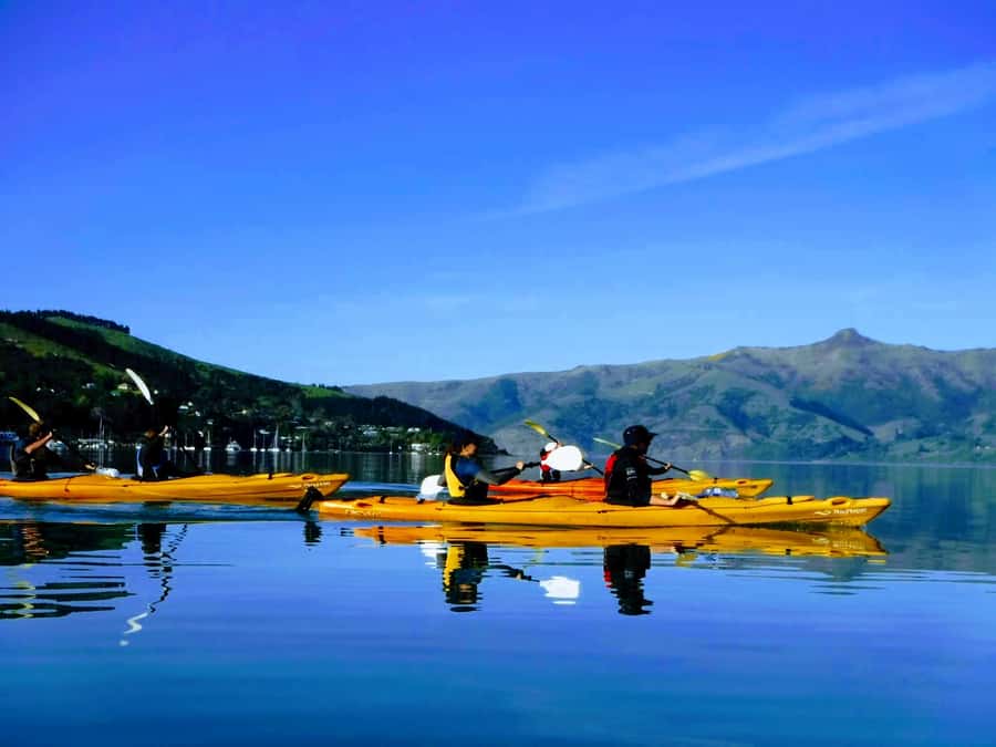 Akaroa: Electric Mountain Bike and Sea Kayak Adventure - Sea Kayak Safari in the Marine Reserve: Caves, Birds, and Dolphin Chances