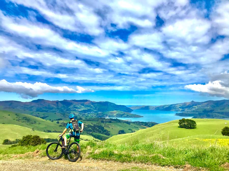 Akaroa Explorer: Guided Electric Mountain Bike Tour - Key Takeaways Before You Ride
