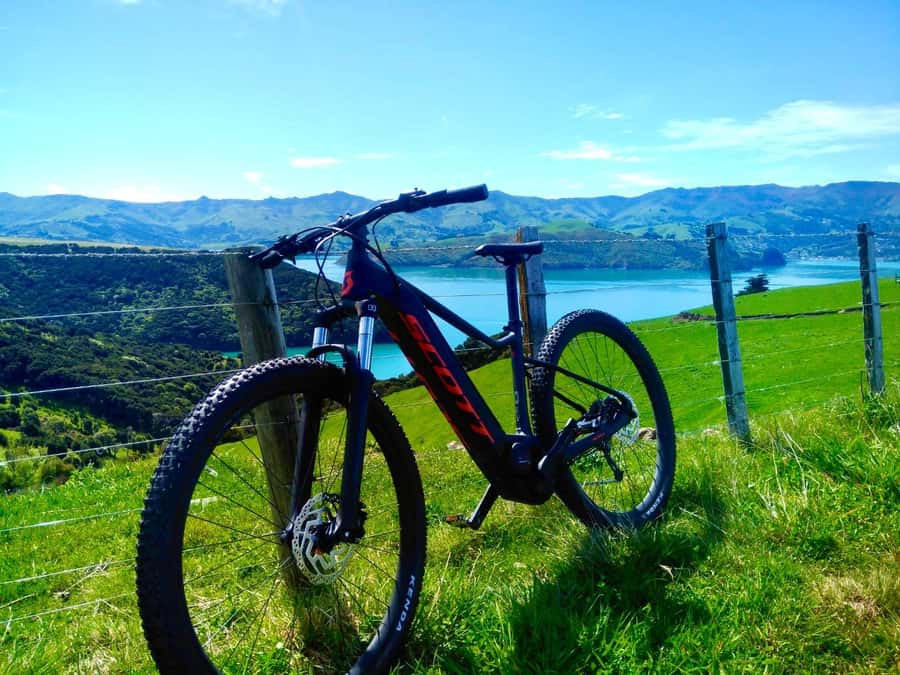 Akaroa Explorer: Guided Electric Mountain Bike Tour - Why an Electric Mountain Bike Is the Fast Track to Akaroa Views