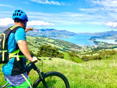 Akaroa Explorer: Guided Electric Mountain Bike Tour - The 2-Hour Ride Plan: French Village, Coastal Roads, and Lighthouse Area Stops