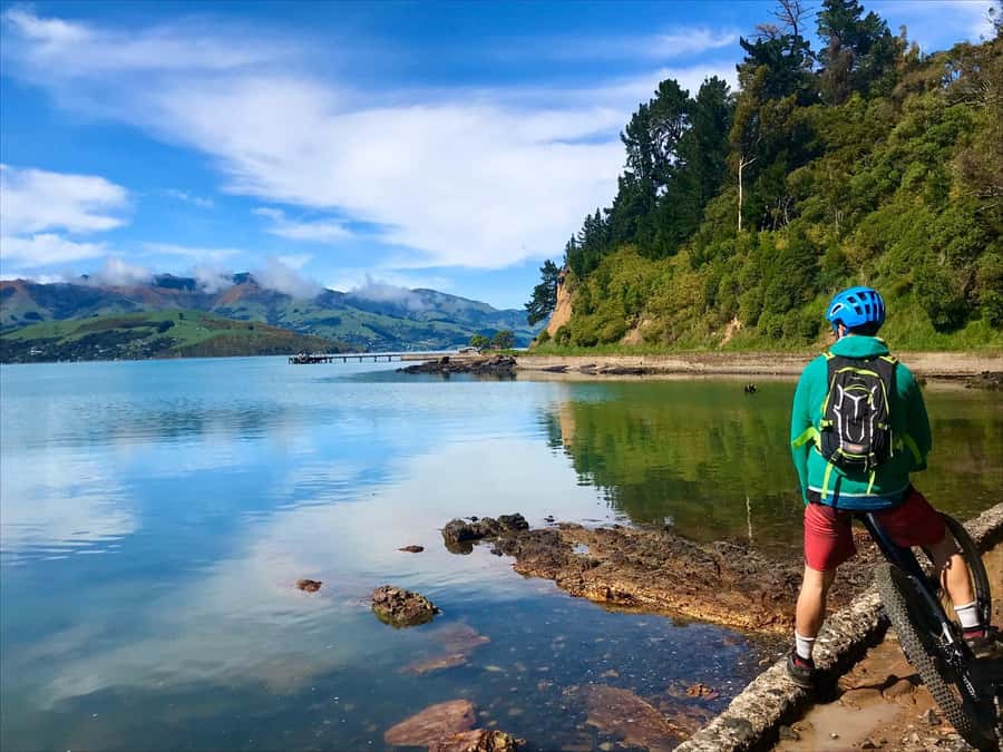 Akaroa Explorer: Guided Electric Mountain Bike Tour - Should You Book the Akaroa Explorer Guided Electric Mountain Bike Tour?