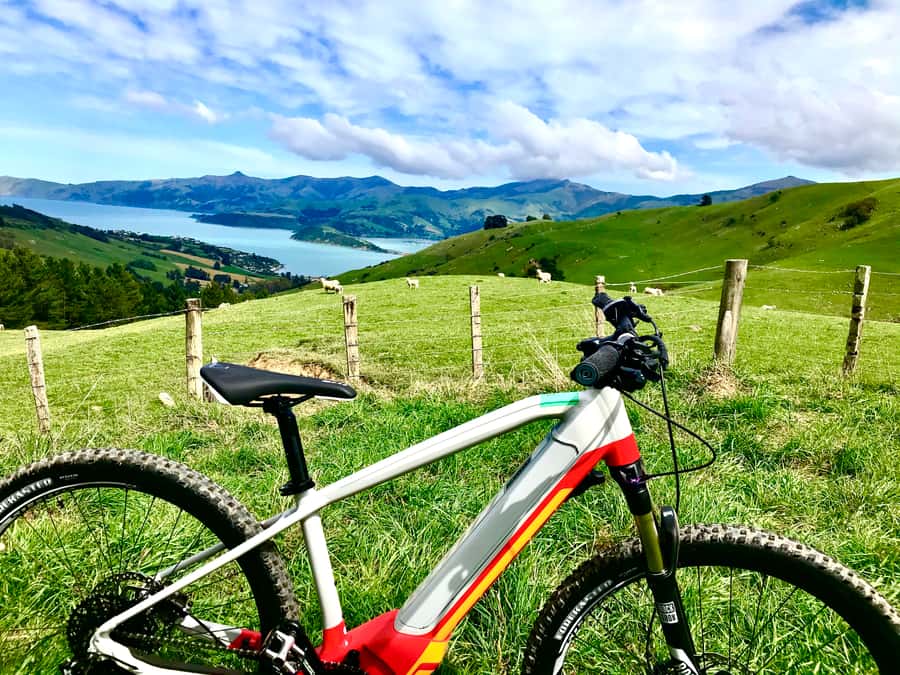 Akaroa Explorer: Guided Electric Mountain Bike Tour - FAQ