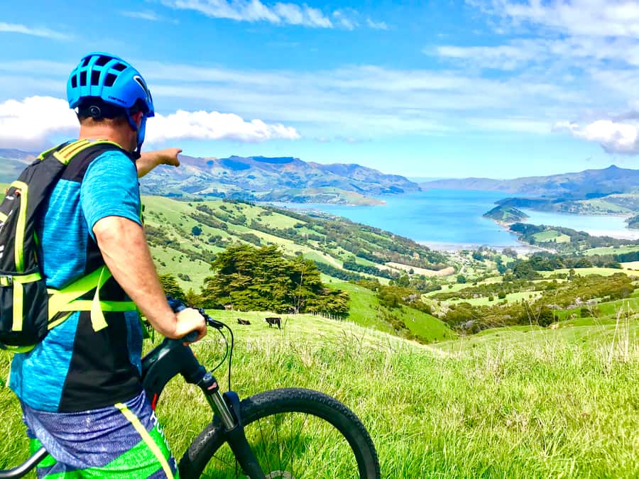 Akaroa Explorer: Guided Electric Mountain Bike Tour - The 2-Hour Ride Plan: French Village, Coastal Roads, and Lighthouse Area Stops