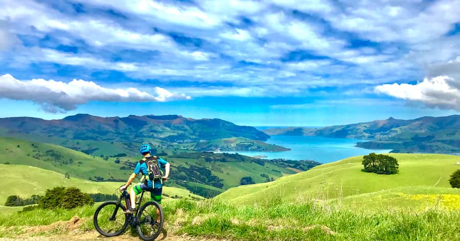 Akaroa: Guided Electric Mountain Bike Tour-Lava Loop - Your guide turns a ride into a story (and yes, photos help)