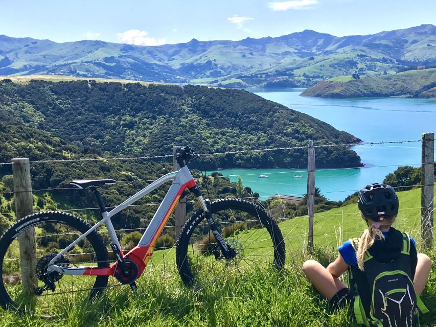 Akaroa: Guided Electric Mountain Bike Tour-Lava Loop - Fitness requirements: this is active sightseeing, not a casual spin