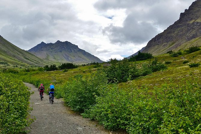 Anchorage Scenic Mountain Bike Tour - Stop 1: Glen Alps Trailhead Rest Area by Flat Top Mountain