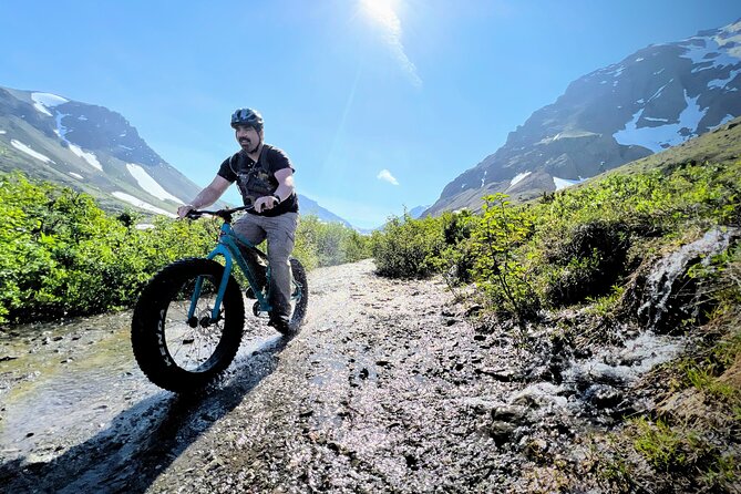 Anchorage Scenic Mountain Bike Tour - Stop 2: Chugach Foothills Park and valley riding