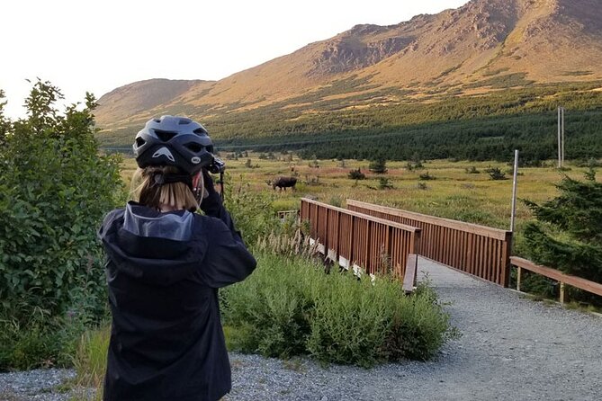 Anchorage Scenic Mountain Bike Tour - Meeting point and timing: start at downtown Anchorage, finish where you began