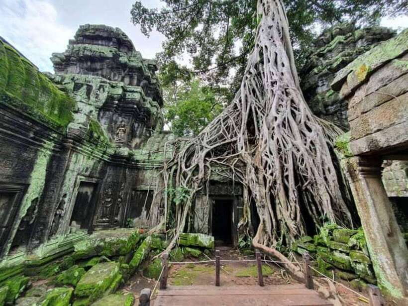 Angkor Cycling Tour - Ta Prohm roots, Bakheng Hill off-road, and the ride back with stories