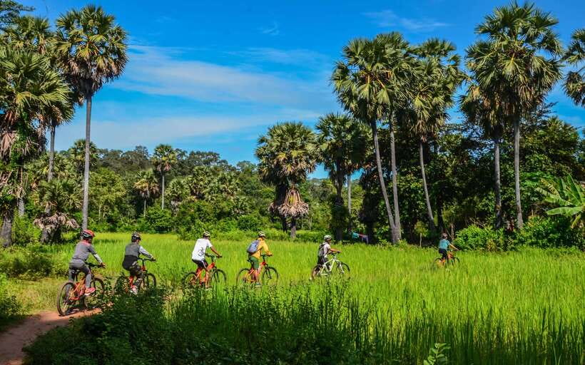 Angkor Jungle Biking Adventure Private Cycling Tour - Ta Prohm: crumbling jungle temples and why the bike works here