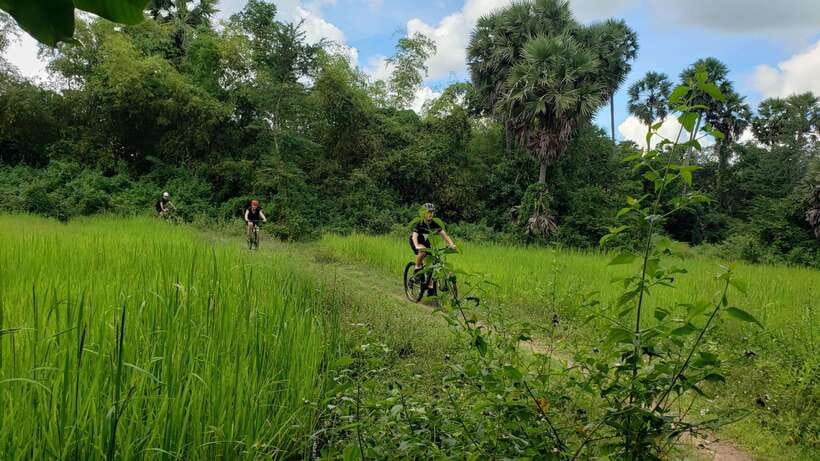 Angkor Jungle Biking Adventure Private Cycling Tour - Ta Nei and the quiet ruin strategy: seeing Angkor from the edges