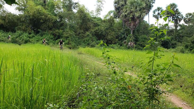 Angkor Jungle Biking Adventure Private Cycling Tour - The French Dam, Prohm Kel, and small stops that break up the day