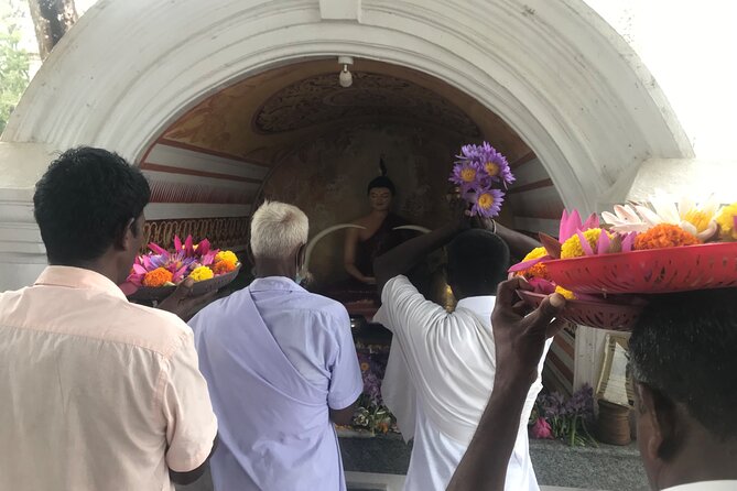 Anuradhapura Heritage Mountain bike / bicycle Tour - Food included: hela bojun vegetarian meal that actually helps