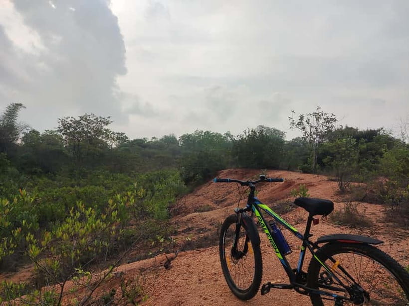 Auroville: Nature Trail Forest Cycling Adventure - Why Auroville’s Forest Loop Feels Different From a Typical Ride