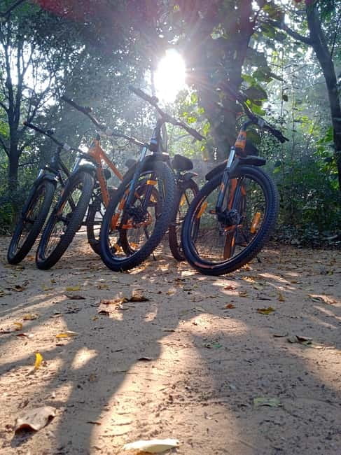 Auroville: Nature Trail Forest Cycling Adventure - The 1.5-Hour Forest Hike: Where the Stories Make Sense