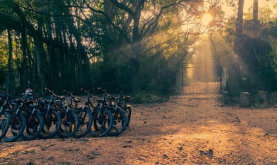 Auroville: Nature Trail Forest Cycling Adventure - Poothurai Road MTB: 45 Minutes of Shade, Turns, and Breathing Space