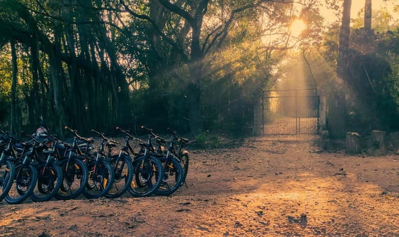 Auroville: Nature Trail Forest Cycling Adventure - Poothurai Road MTB: 45 Minutes of Shade, Turns, and Breathing Space