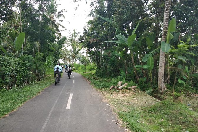 Bali Amazing Cycling Tour - Kintamani to Ubud: the route that makes the ride worthwhile