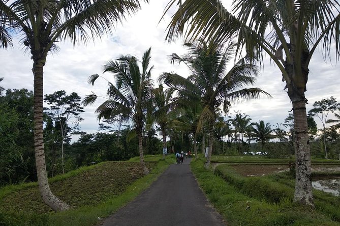 Bali Amazing Cycling Tour - Ubud pickup at 8:30: what to expect before you even pedal