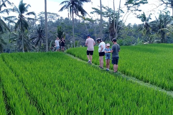 Bali Countryside Cycling Adventure - Key things I’d plan for before you go