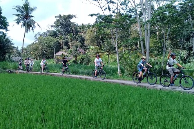 Bali Countryside Cycling Adventure - Coffee plantation stop: local flavors without the hard sell