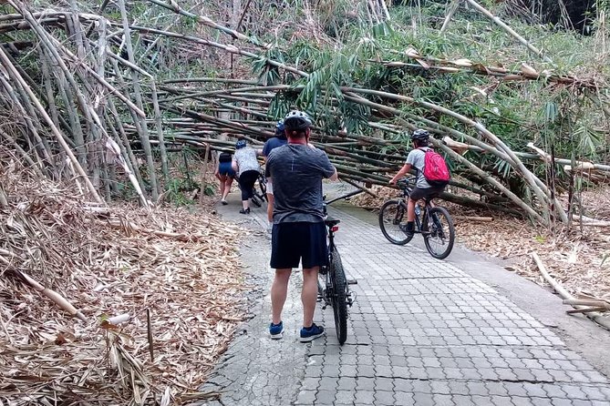 Bali Countryside Cycling Adventure - Subak water temple at Taman Bali: a calm stop between rides