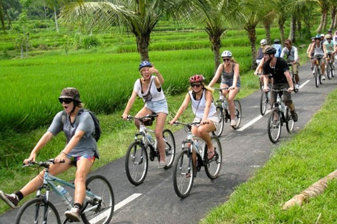 Bali Countryside Cycling Tour by Halo Bike Tour - Bike prep by 11:15: why this timing helps